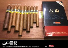 高希霸罗布图ROBUSTO