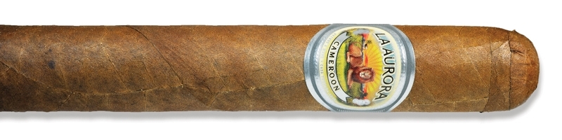 Robusto 