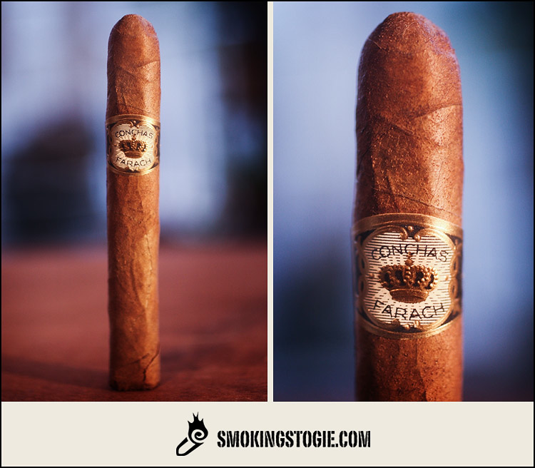 Flor de Farach Conchas 1.png Flor de Farach Conchas 1.png