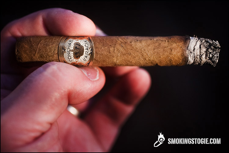 Flor de Farach Conchas 2.png Flor de Farach Conchas 2.png