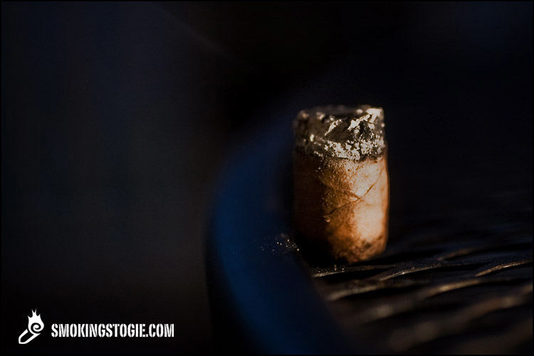 Flor de Farach Conchas 4.png Flor de Farach Conchas 4.png