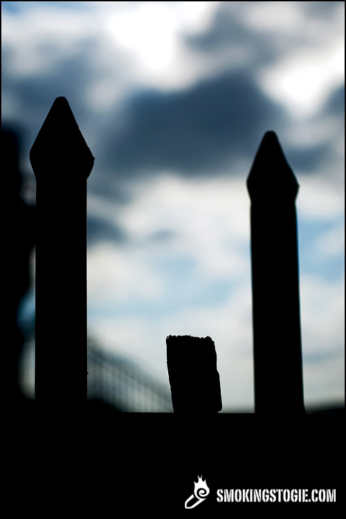 Ramón Allones Celestiales Finos (RE Asia Pacific) 7.png Ramón Allones Celestiales Finos (RE Asia Pacific) 7.png