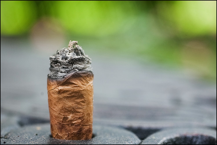 雷纳尔多·兰塞罗 9.png 雷纳尔多·兰塞罗 9.png