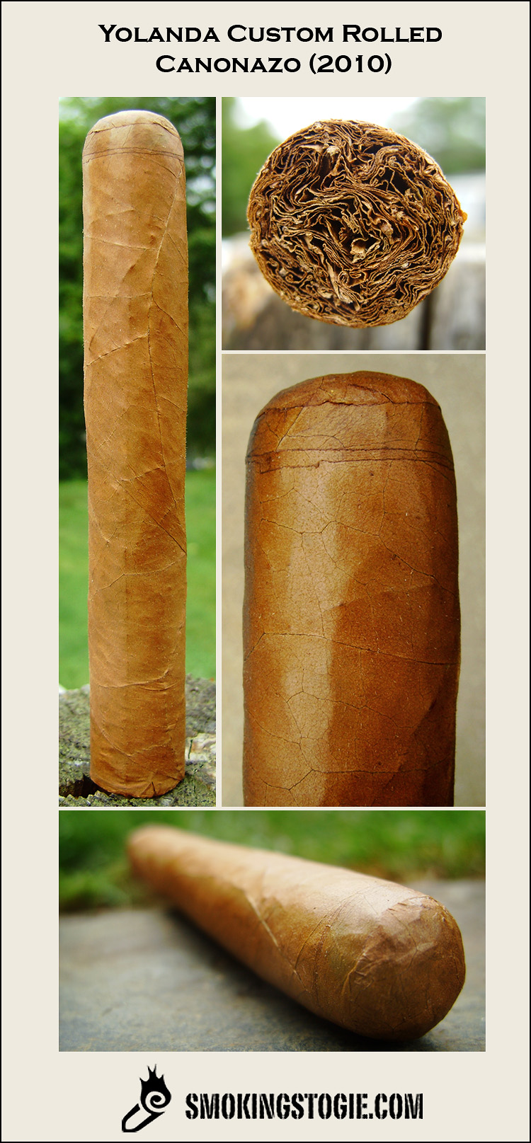 Yolanda Canonazo 3.png Yolanda Canonazo 3.png