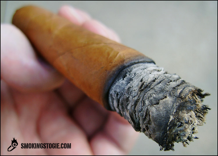 Yolanda Canonazo 5.png Yolanda Canonazo 5.png