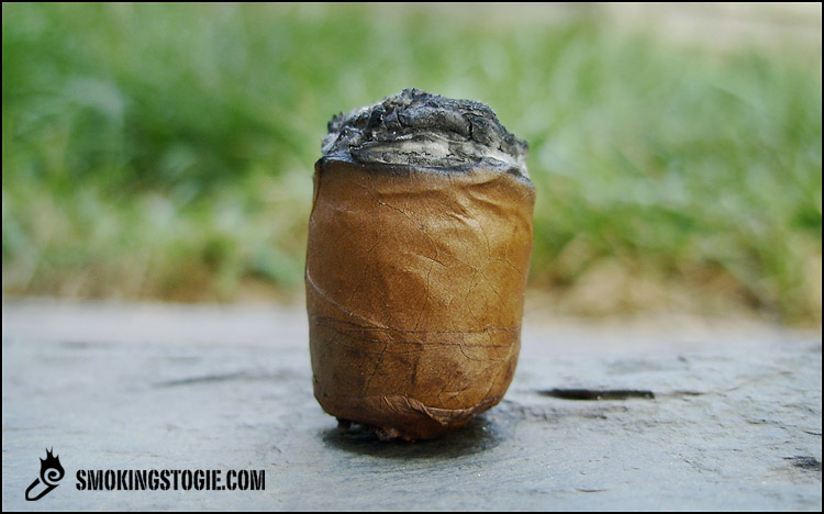 Yolanda Canonazo 6.png Yolanda Canonazo 6.png