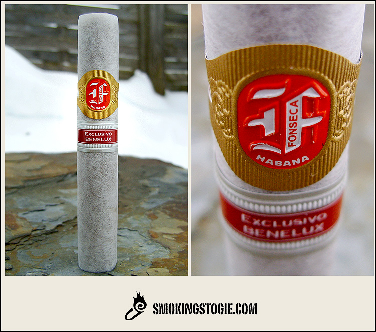 Fonseca No.4 (RE Benelux 2010) 1.png Fonseca No.4 (RE Benelux 2010) 1.png