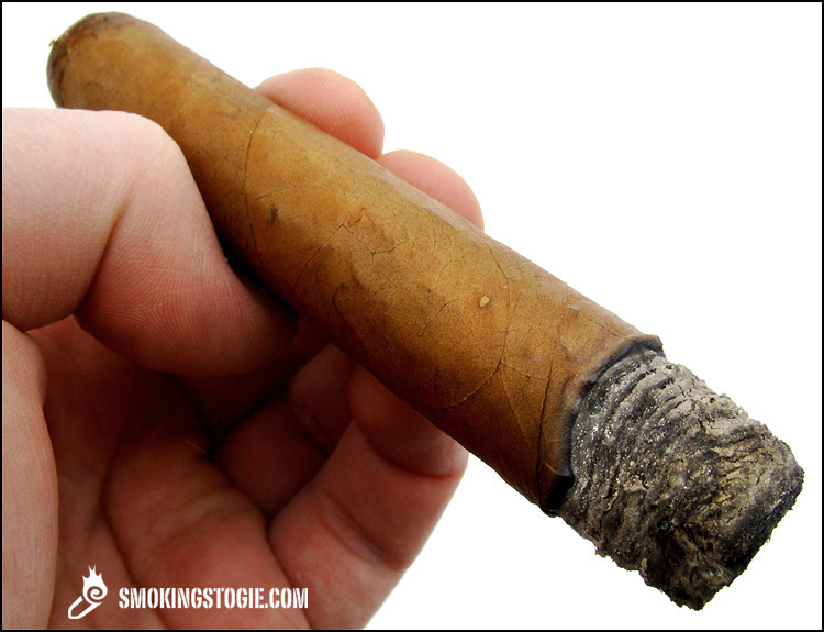 Fonseca No.4 (RE Benelux 2010) 2.png Fonseca No.4 (RE Benelux 2010) 2.png