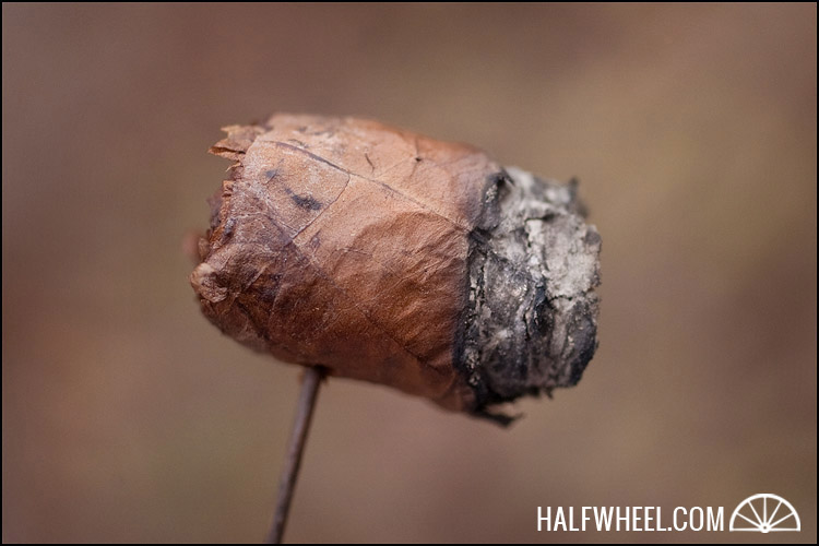 Cohiba Behike (2006) 4.jpg 高希霸 COHIBA BEHIKE (2006) 雪茄