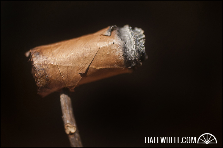 Por Larrañaga Edición Regional Asia Pacifico Encantos (2010) 4.jpg Por Larrañaga Edición Regional Asia Pacifico Encantos 2010 4