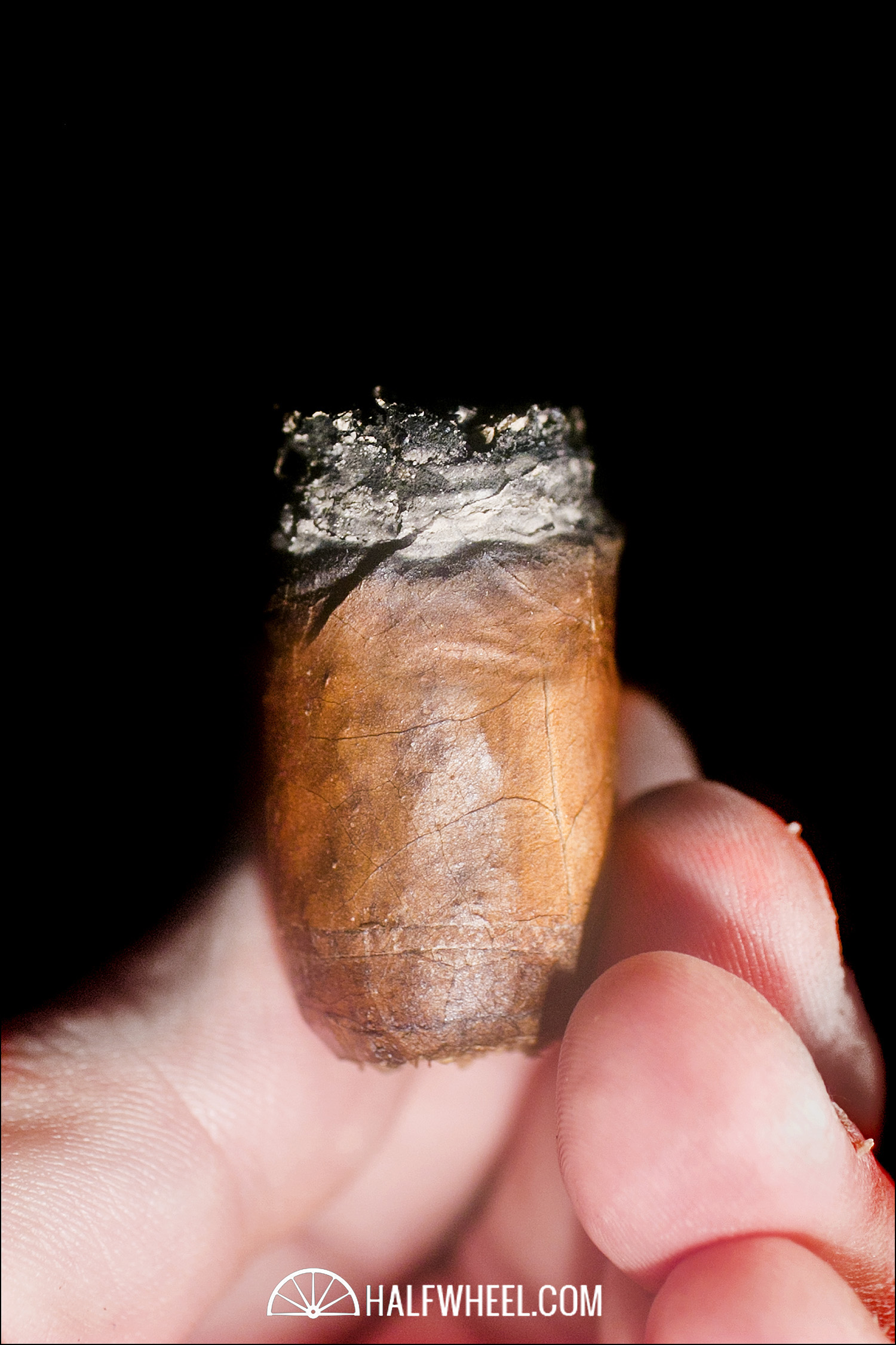 Hoyo de Monterrey Grand Epicure (EL 2013) 4.jpg Hoyo de Monterrey Grand Epicure EL 2013 4