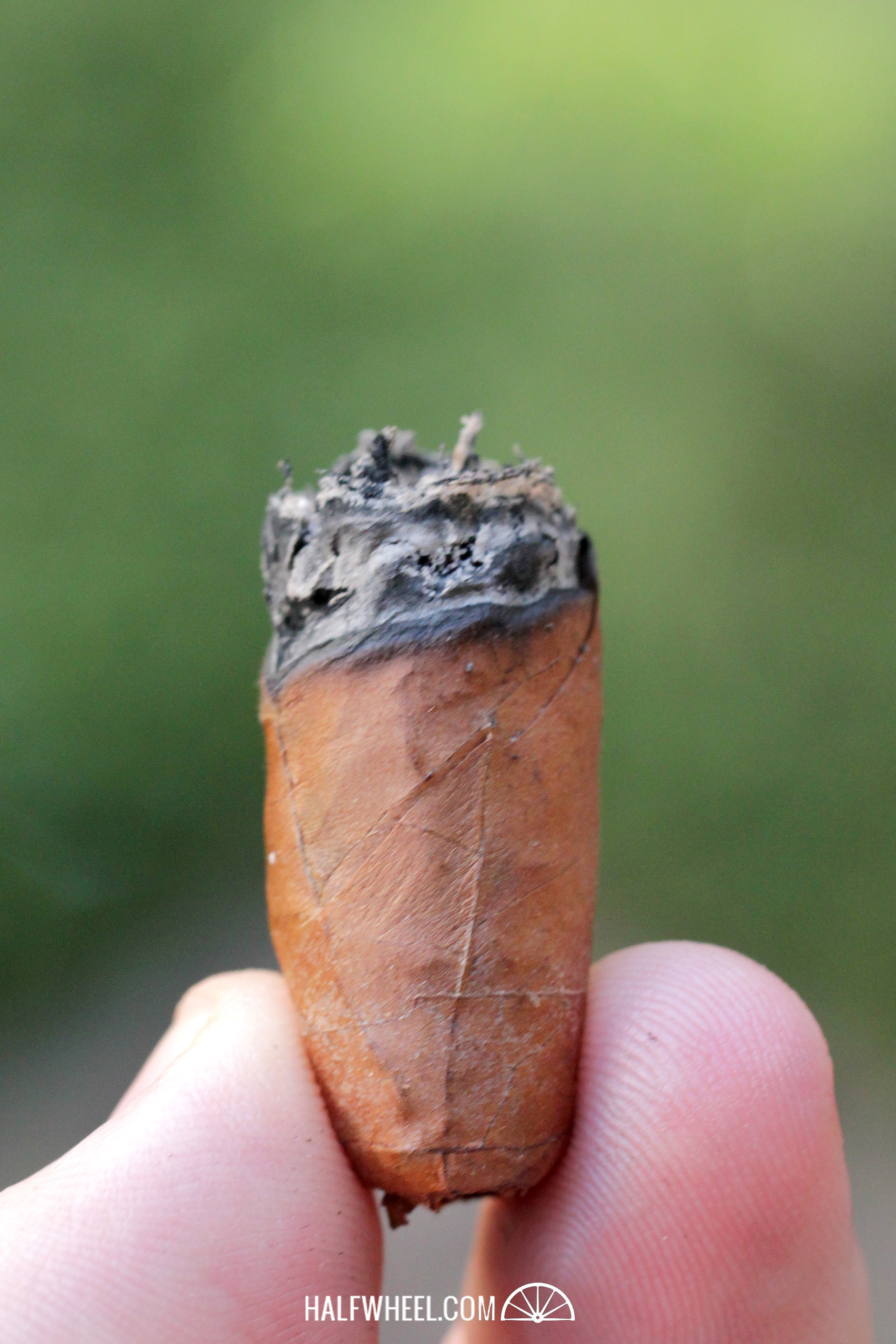 Finca Montesino Petit Corona 4.jpg Finca Montesino Petit Corona 4