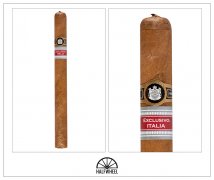 潘趣2018意大利地区版 PUNCH MANTUA (ER ITALIA 2018)