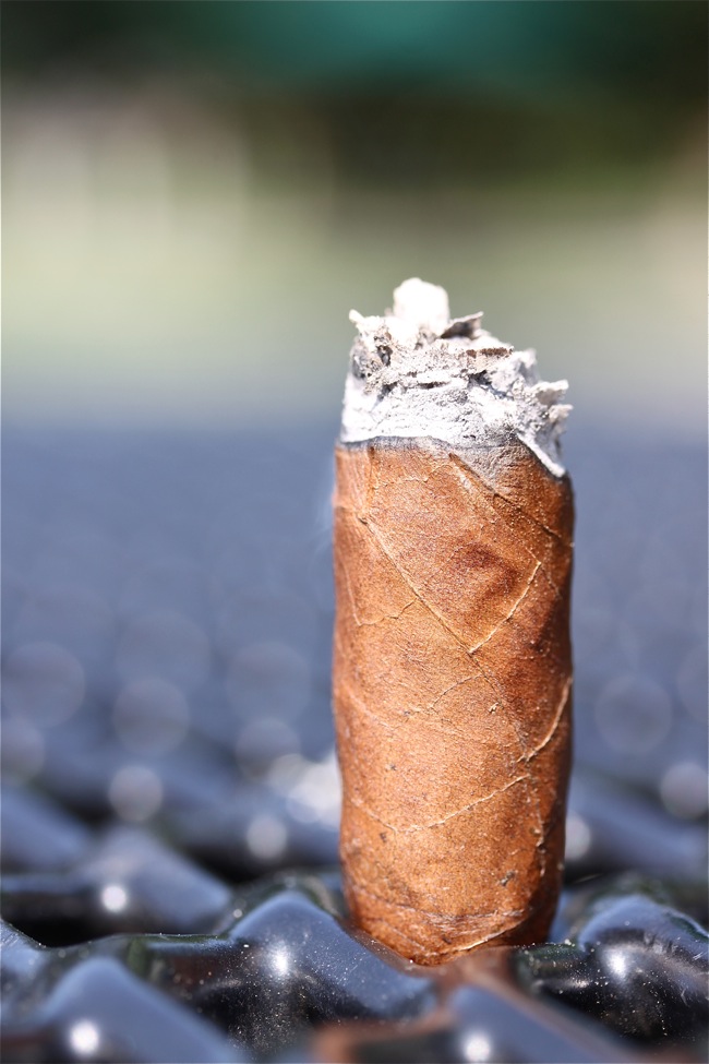 大卫杜夫经典 1 号 6.JPG 大卫杜夫经典 1 号 6.JPG