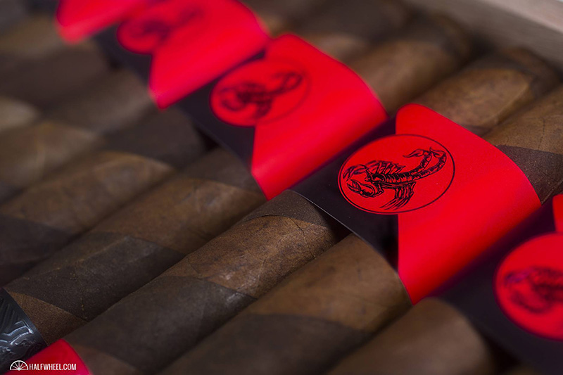 卡马乔双避震盒 4.jpg 卡马乔双避震盒 4