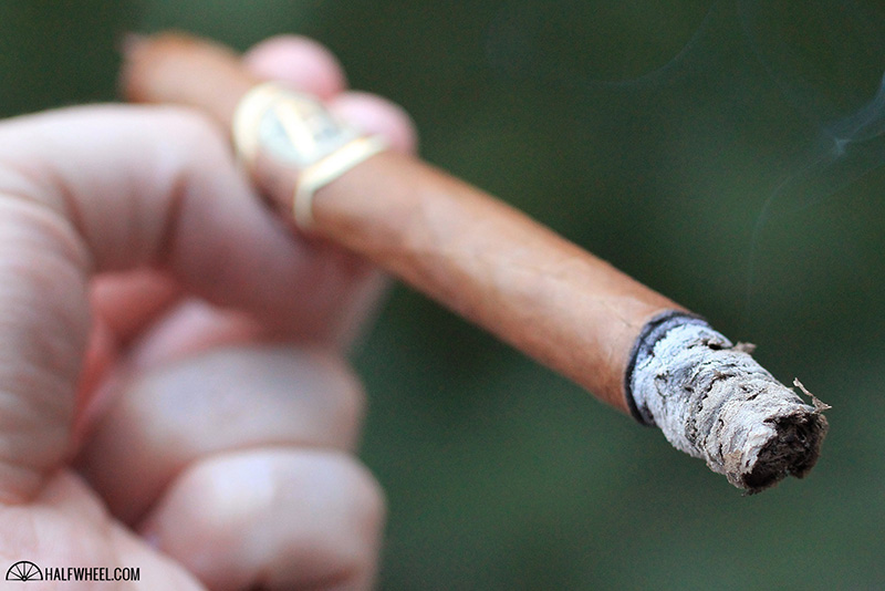 AVO Heritage Lancero 3.jpg AVO Heritage Lancero 3