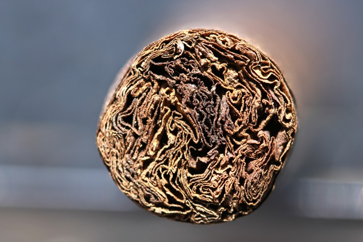 阿图罗富恩特·唐·卡洛斯·兰塞罗 ARTURO FUENTE DON CARLOS LANCERO