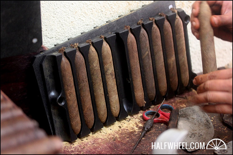 Liga Privada Único Serie Feral Flying Pig 1.jpg Liga Privada Único 意甲野性飞猪 1