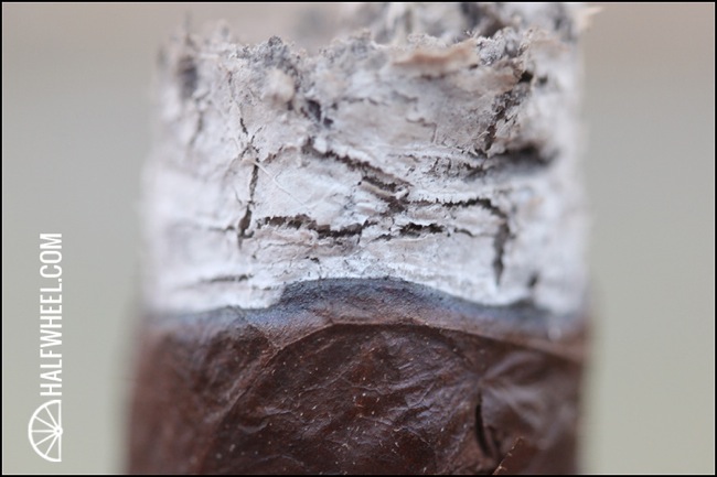 IMG_1244.jpg IMG 1244