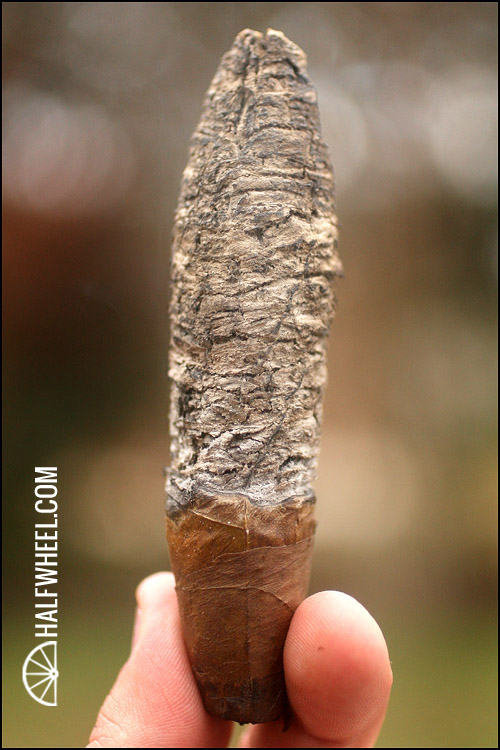 EloGio Excepcionales Burn.jpg EloGio Excepcionales 烧伤