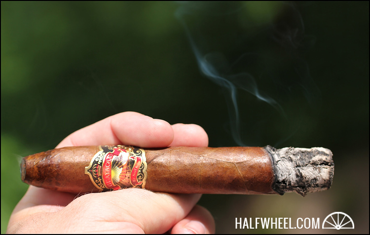 瓜亚坎鱼雷2.jpg 瓜亚坎鱼雷 GUAYACAN TORPEDO