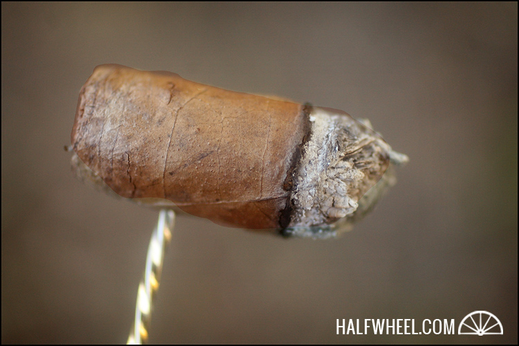 Tatuaje Bombazo Capa Especial 4.jpg Tatuaje Bombazo Capa 特别 4