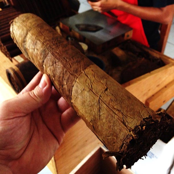 CroMagnon Femur Binder.png CROMAGNON FEMUR 雪茄