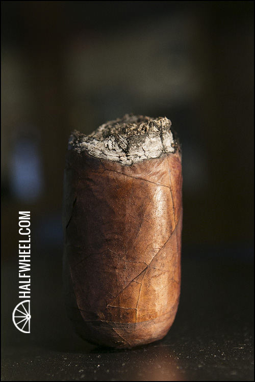 CroMagnon 股骨 4.jpg CROMAGNON FEMUR 雪茄