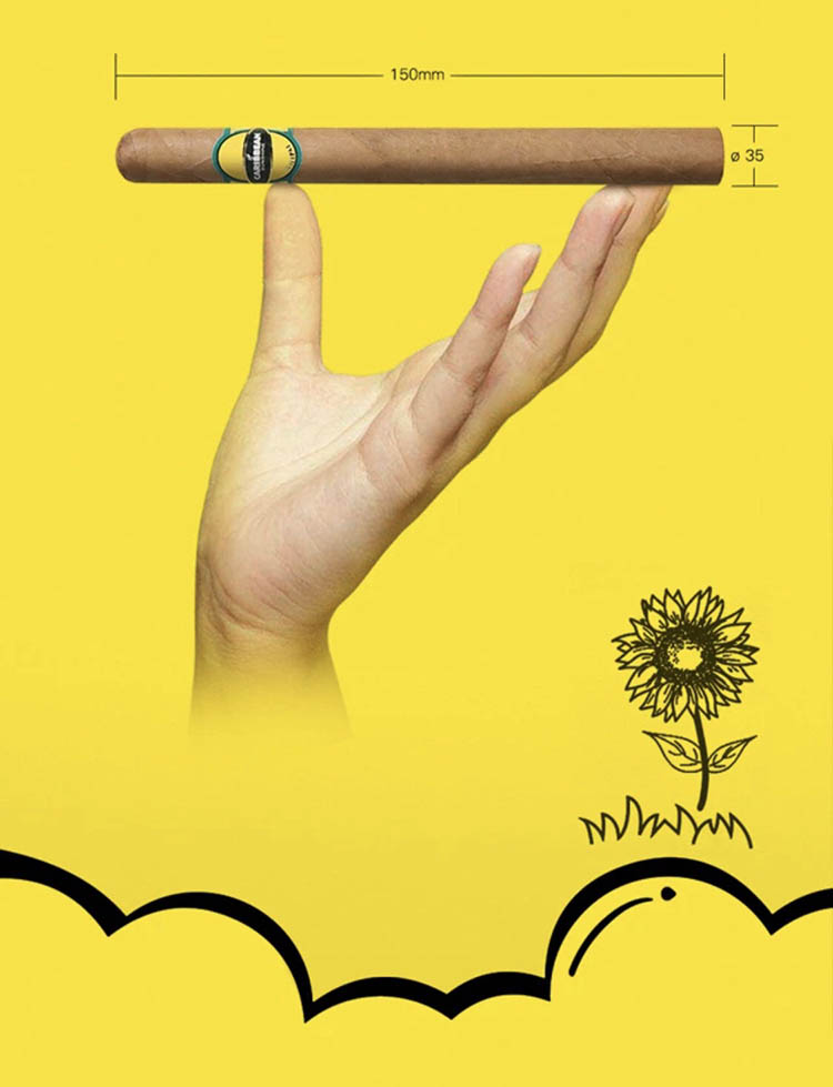 狮牌雪茄烟表图