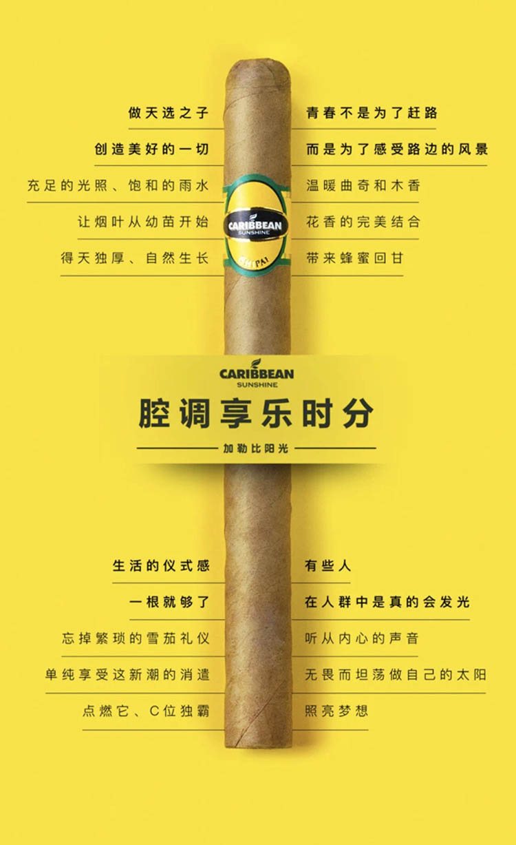 狮牌雪茄烟表图