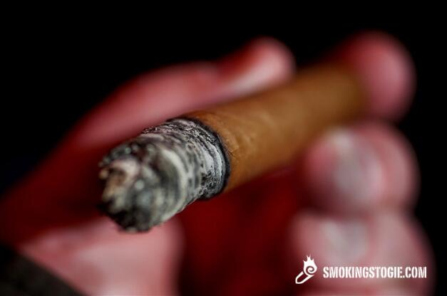 AVO 22(欧)3.png AVO 22(欧)3.png