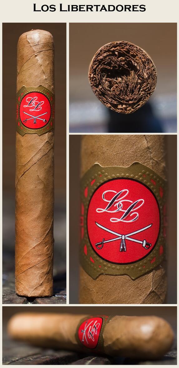 解放者队罗布斯托 3.png 解放者队罗布斯托 3.png