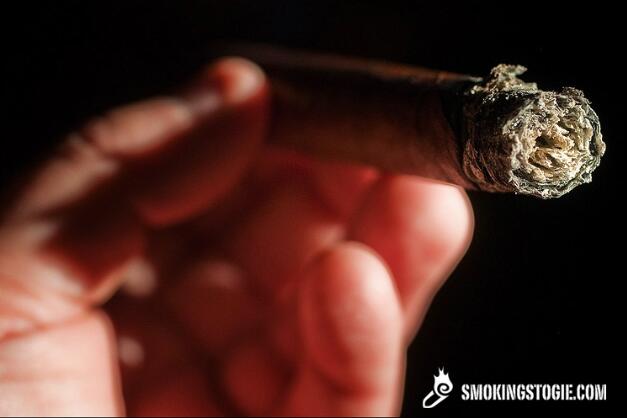 比那尔德里奥 BOTL.org 小批量 2010 3.png 比那尔德里奥 BOTL org 小批量 2010 3