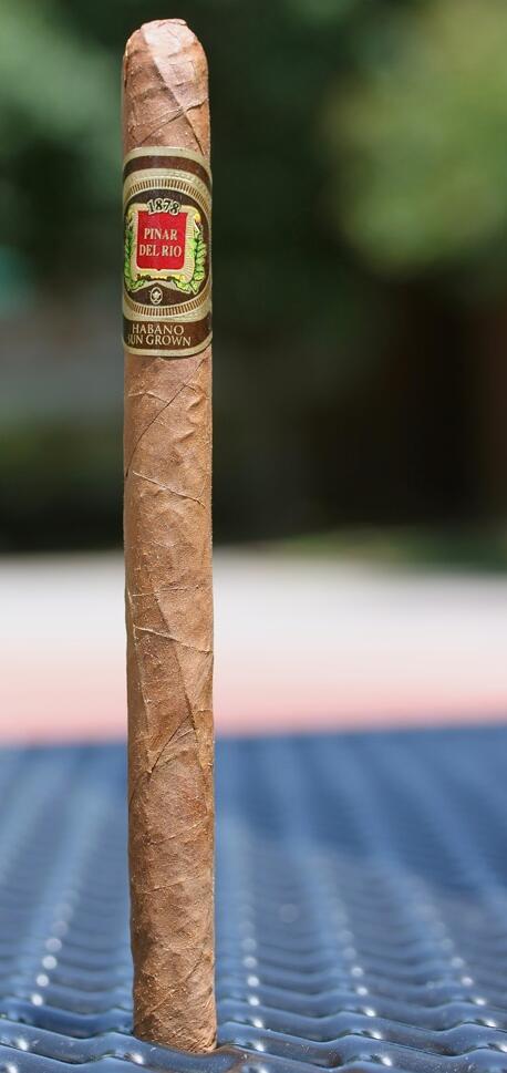 比那尔德里奥哈瓦那阳光生长的 Lancero 1.jpg 比那尔德里奥哈瓦那阳光生长的 Lancero 1.jpg