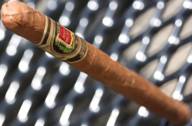 比那尔德里奥哈瓦那阳光生长的 Lancero 2.JPG 比那尔德里奥哈瓦那阳光生长的 Lancero 2.JPG