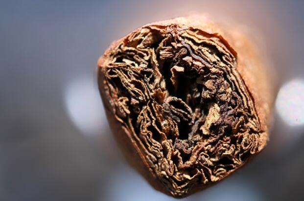 比那尔德里奥哈瓦那阳光生长的 Lancero 3.JPG 比那尔德里奥哈瓦那阳光生长的 Lancero 3.JPG