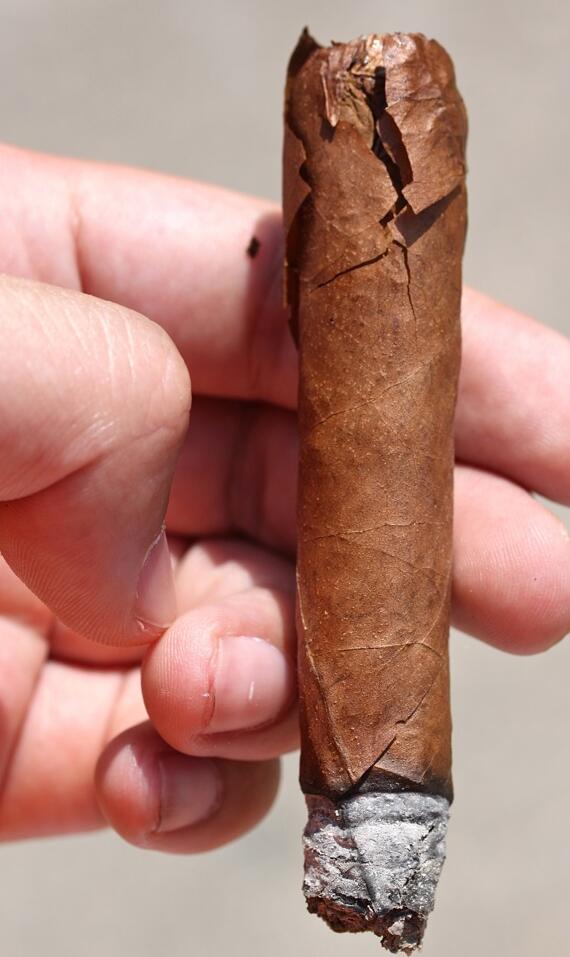 比那尔德里奥哈瓦那阳光生长的 Lancero 6.jpg 比那尔德里奥哈瓦那阳光生长的 Lancero 6.jpg