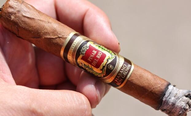 比那尔德里奥哈瓦那阳光生长的 Lancero 7.JPG 比那尔德里奥哈瓦那阳光生长的 Lancero 7.JPG