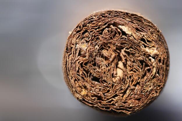 马卡努多波托菲诺 3.JPG 马卡努多波托菲诺 3.JPG