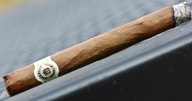 马卡努多波托菲诺 5.JPG 马卡努多波托菲诺 5.JPG