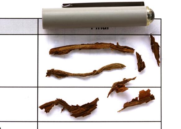 麦克努多波托菲诺 6.JPG 麦克努多波托菲诺 6.JPG