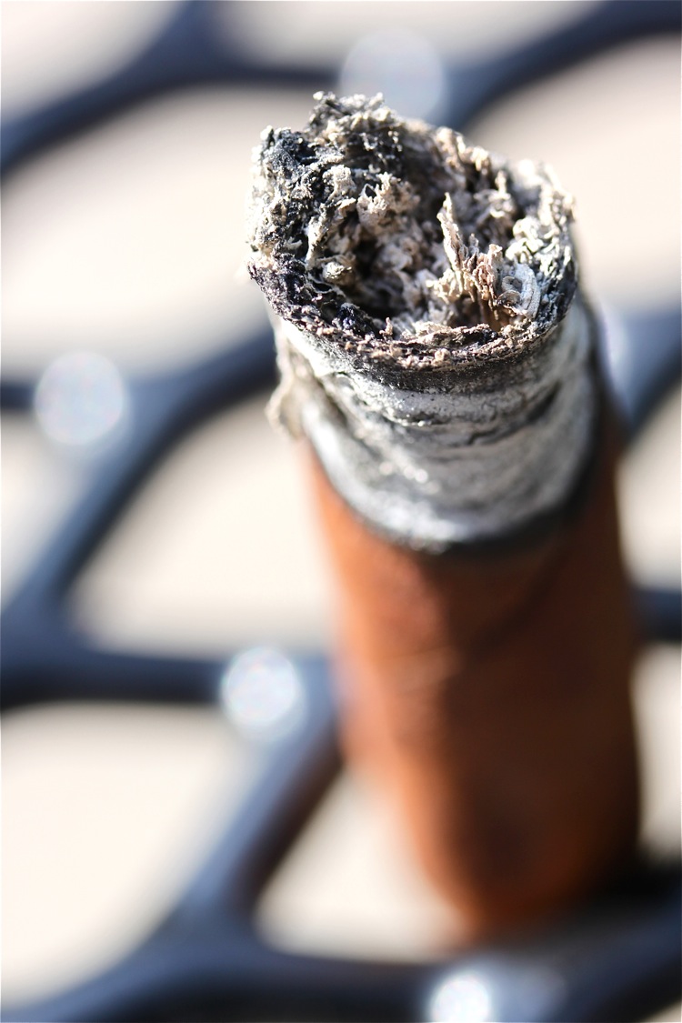 SWAG精英6.jpg SWAG精英6.jpg