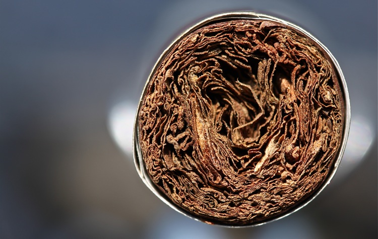 SWAG精英3.JPG SWAG精英3.JPG