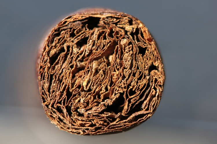 极光 107 兰塞罗 3.JPG 拉奥罗拉 107 兰塞罗 3