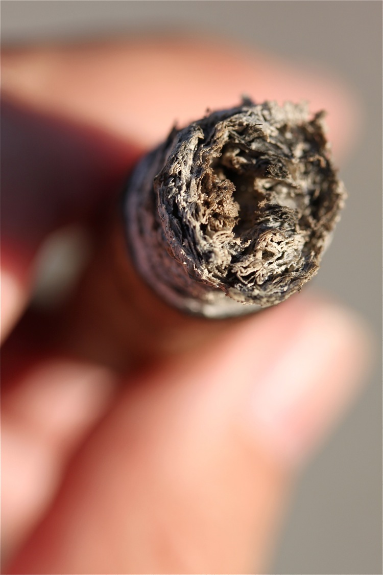 极光 107 兰塞罗 6.JPG 拉奥罗拉 107 兰塞罗 6