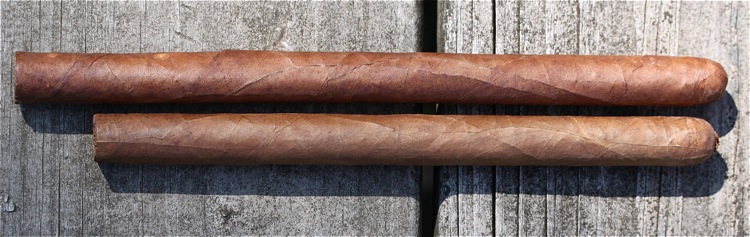 吉列尔莫·莱昂·兰塞罗 2.JPG 吉列尔莫·莱昂·兰塞罗 2.JPG