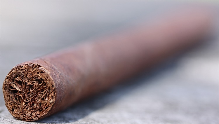 吉列尔莫·莱昂·兰塞罗 3.JPG 吉列尔莫·莱昂·兰塞罗 3.JPG