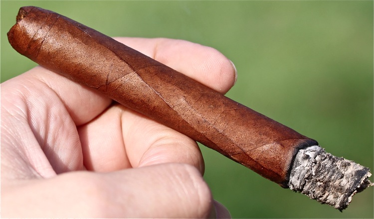 吉列尔莫·莱昂·兰塞罗 7.JPG 吉列尔莫·莱昂·兰塞罗 7.JPG