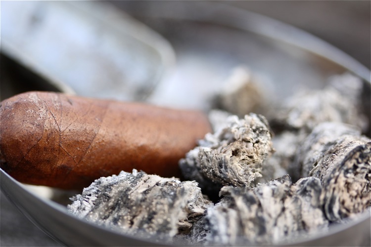 吉列尔莫·莱昂·兰塞罗 8.JPG 吉列尔莫·莱昂·兰塞罗 8.JPG