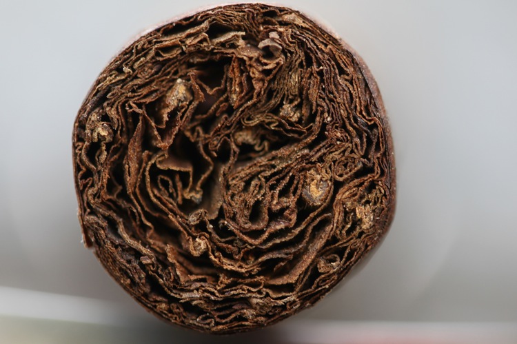 库萨诺15周年Lancero 3.JPG 库萨诺15周年Lancero 3.JPG